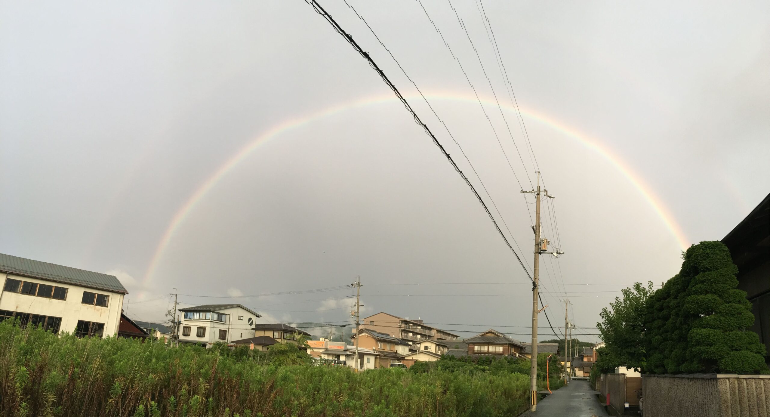 感覚遊びを楽しもう